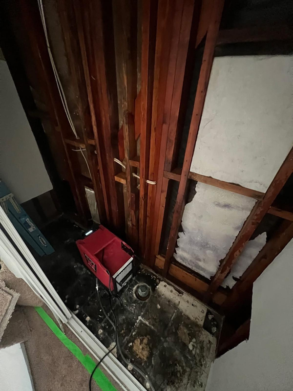 Water mitigation